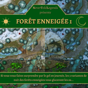 Pack [Jour/Nuit] Forêts enneigées 1