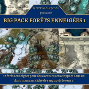 BIG PACK Forêts Enneigées 1